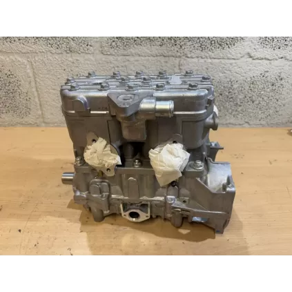 Ny Polaris 500 motor