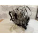 Motor 800 C-Tec