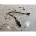 Eksos sensor