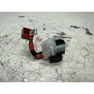 Startrele