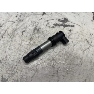 Coil
