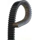 Dayco HPX5031 variator reim